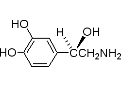 L-去甲肾上腺素51-41-2