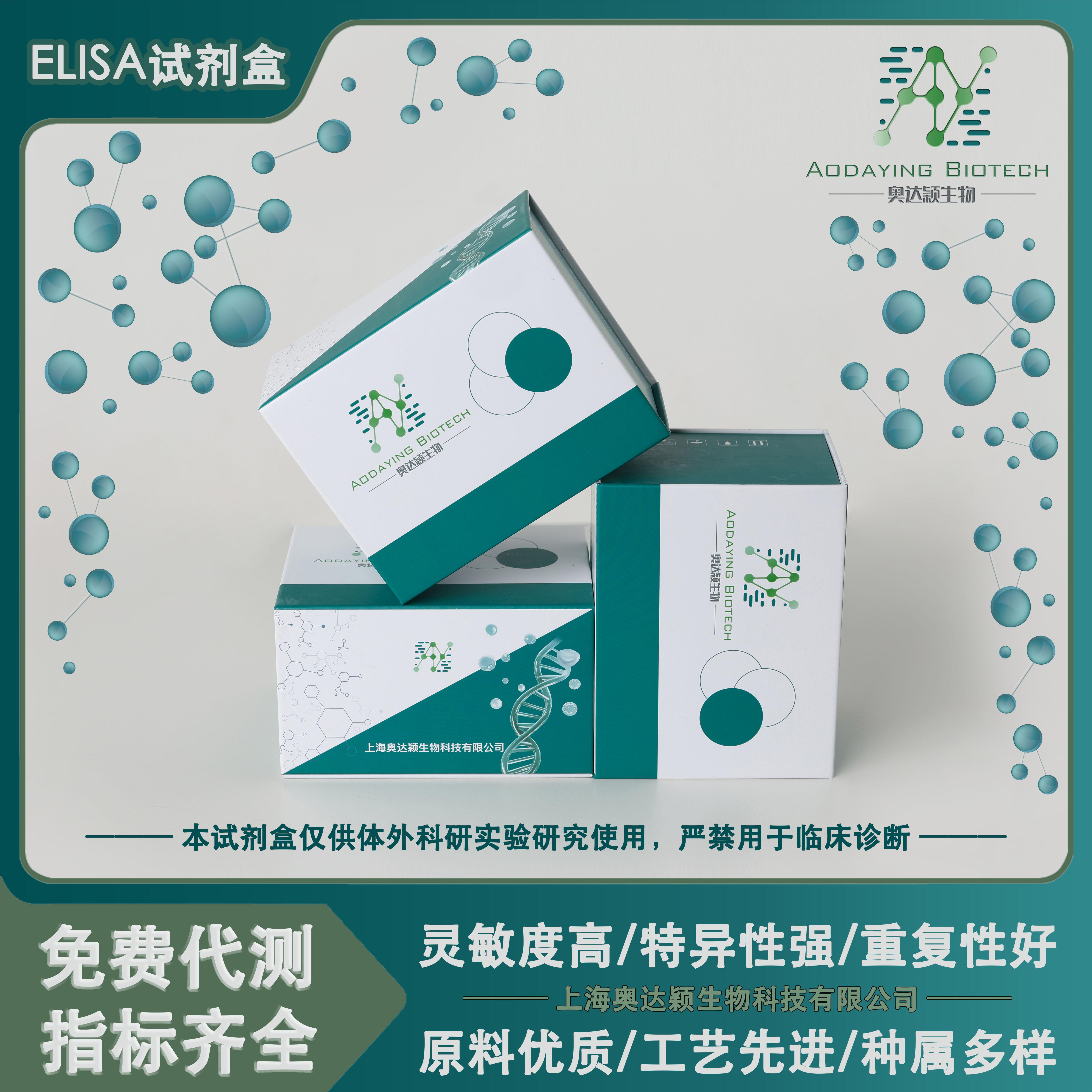 人白细胞介素32βIL-32β elisa试剂盒