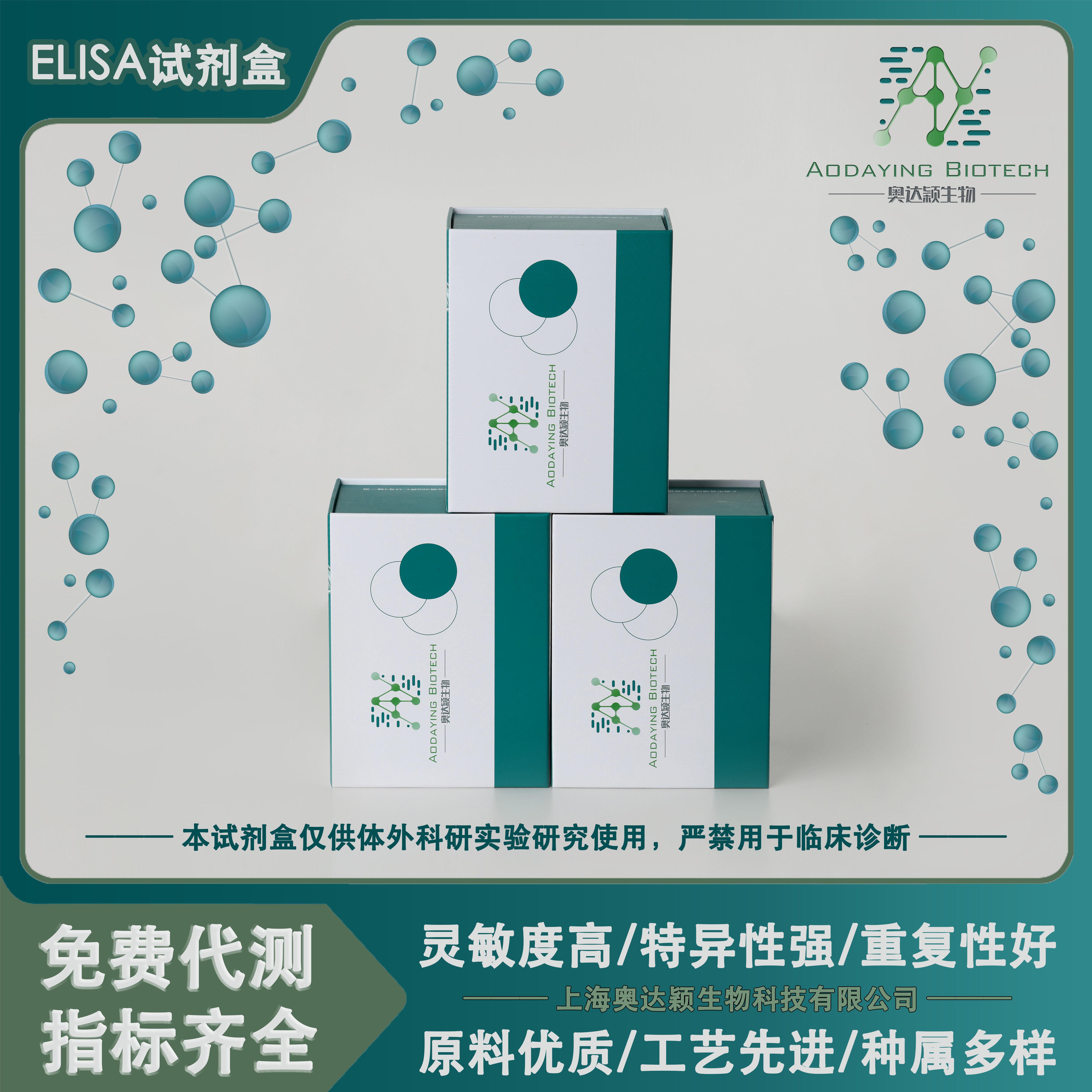 人四旋蛋白6TSPAN6 elisa试剂盒