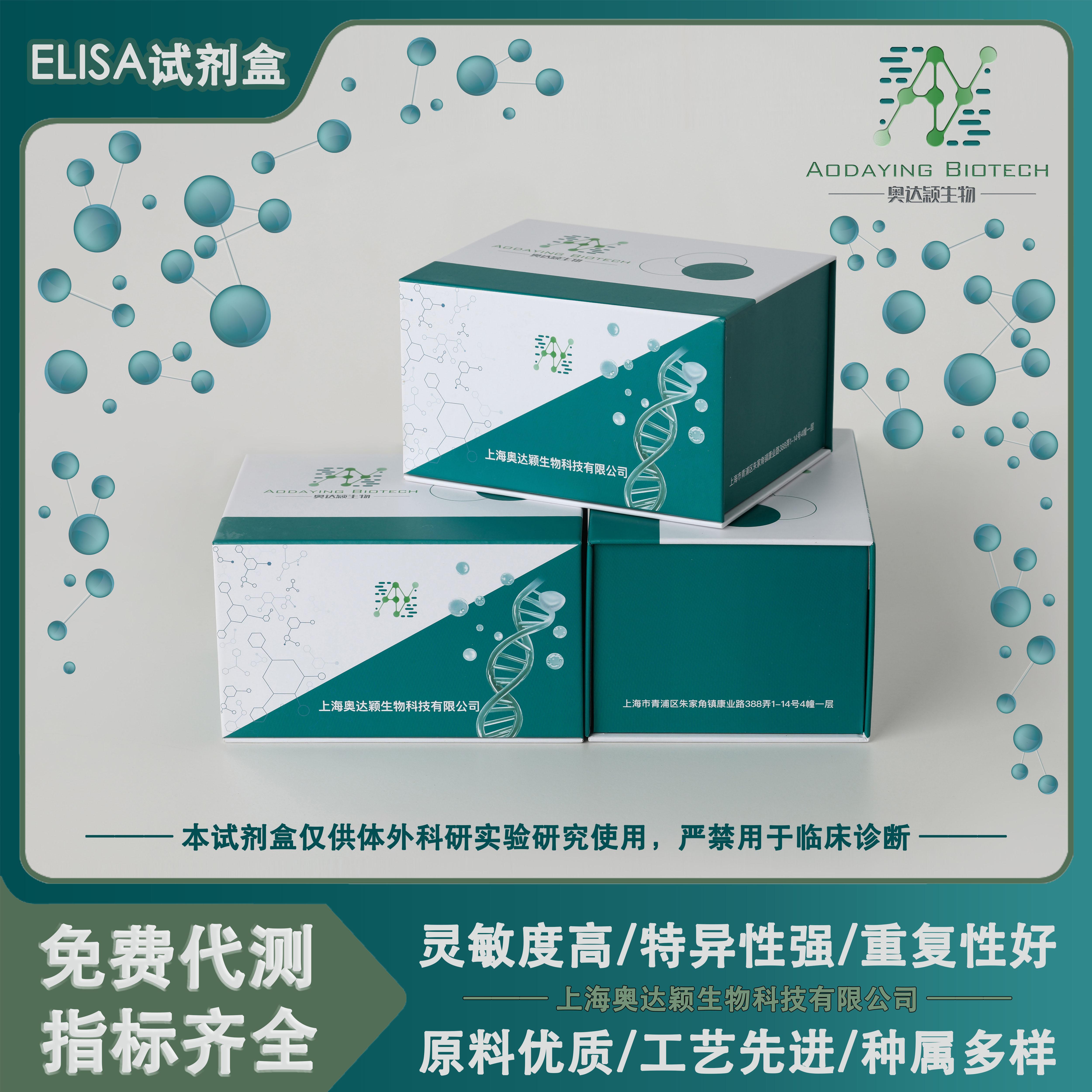 微生物C-Raf原癌基因丝苏氨酸蛋白激酶Raf-1 elisa试剂盒