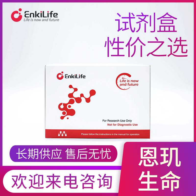 藻红蛋白(R-PE)抗体快速标记试剂盒