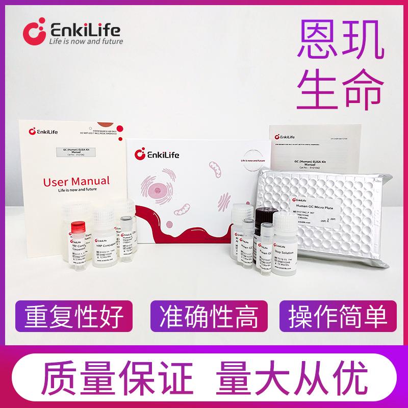人肿瘤坏死因子α(TNF-α)ELISA试剂盒