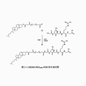 NGR修饰的载多西他赛PH敏感长循环靶向脂质体 NGR-LPS