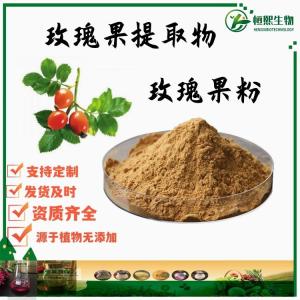 玫瑰果提取物 玫瑰多酚VC 玫瑰果汁粉 水溶性玫瑰果粉 可定制