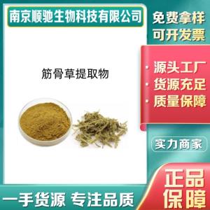 土克甾酮41451-87-0 10% 筋骨草提取物 80目粉末 多种规格
