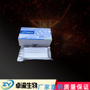 人IgG-Fc片段低亲和力受体ⅡbFcgR2B elisa试剂盒 产品图片