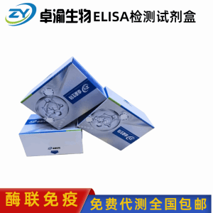 人P16蛋白抗体P16 Ab elisa试剂盒 产品图片