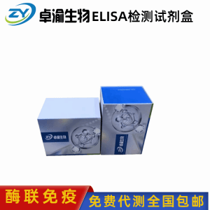 人EB病毒包膜糖蛋白gp350抗体EBV-gp350-Ab elisa试剂盒 产品图片