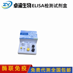 小鼠5α-双氢睾酮5α-DHT elisa试剂盒 产品图片