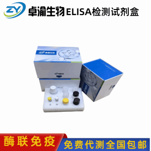 β-木糖苷酶测试盒 产品图片