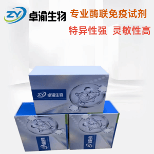 人24-脱氢胆固醇24-DHC elisa试剂盒 产品图片
