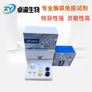 人鸟苷酸环化酶1β3GUCY1β3 elisa试剂盒 产品图片