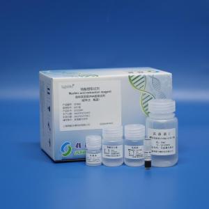 全血基因组DNA提取试剂盒（磁珠法） 产品图片