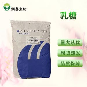 批发 美国乳糖 压片可用 MSG食品级 乳糖粉