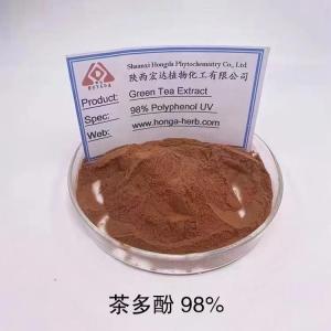绿茶提取物茶多酚98% 多种规格 厂家直供 产品图片