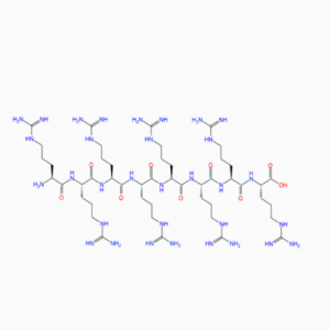 LHRHa與八聚精氨酸細(xì)胞穿模肽R8共修飾載載氟尿嘧啶的靶向脂質(zhì)體