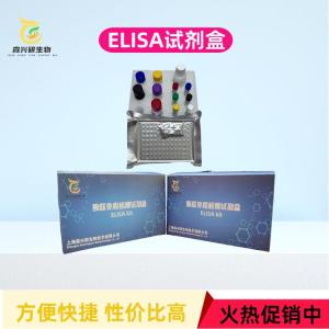 小鼠（Mouse）谷草转氨酶（AST）ELISA检测试剂盒 产品图片