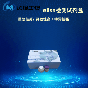 人戊型肝炎病毒抗原B1HEV B1  Ag elisa试剂盒 产品图片