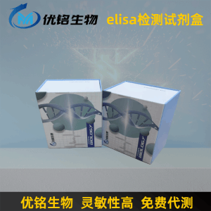 人鱼精蛋白1PRM1 elisa试剂盒 产品图片