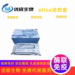 人呼吸道合胞病毒F0蛋白IgG抗体RSV-F0 IgG elisa试剂盒 产品图片