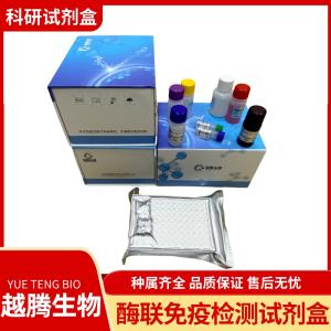 小鼠绿色荧光蛋白(GFP）elisa试剂盒 产品图片