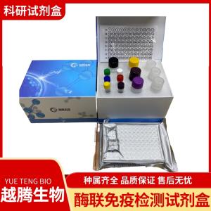 人白细胞介素1α(IL-1α)elisa试剂盒 产品图片