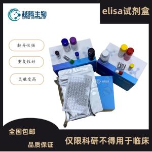 人转铁蛋白(TRF)elisa检测试剂盒 产品图片