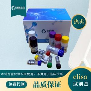 人血血小板衍生生长因子AB(PDGF-AB)elisa试剂盒 产品图片