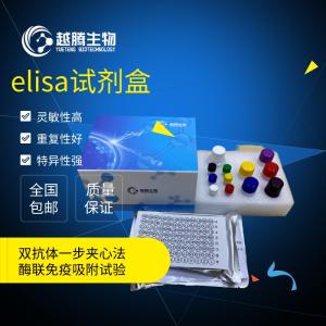 人胰岛素样生长因子结合蛋白6(IGFBP6)elisa试剂盒 产品图片