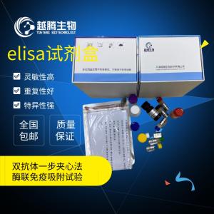 人乙型肝炎病毒表面抗原(HBsAg)elisa检测试剂盒 产品图片