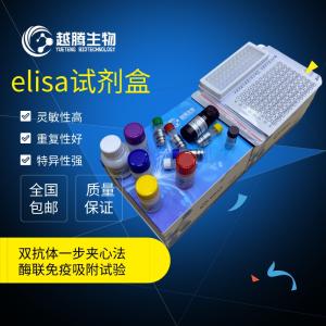 人孕酮(PROG)elisa检测试剂盒 产品图片