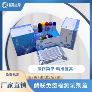 小鼠精氨酸加压素受体1A（AVPR1A）elisa试剂盒 产品图片