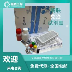 人生长激素(HGH)elisa检测试剂盒 产品图片