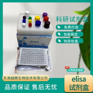 小鼠维生素B2（VB2）elisa试剂盒 产品图片