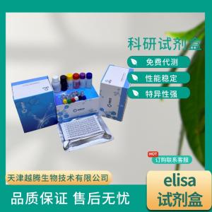 大鼠RAS相关蛋白RAB-27A(RAB27A）elisa试剂盒 产品图片