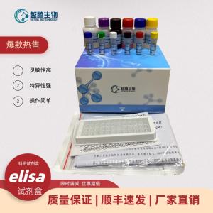 人钙联蛋白(CNX)elisa检测试剂盒 产品图片