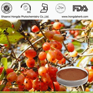山茱萸提取物10:1 厂家供应 产品图片