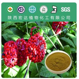 三七提取物 三七粉  三七皂甙