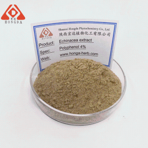紫锥菊多酚4% 紫锥菊提取物粉 紫锥菊粉末 多种规格定制 产品图片