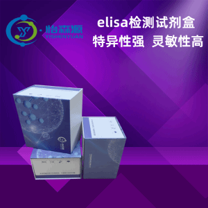 大鼠双氢睾酮(DHT)ELISA试剂盒 产品图片