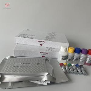 犬胰岛素(INS)ELISA试剂盒 产品图片