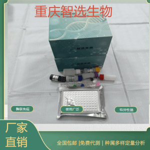 人干扰素诱导跨膜蛋白1IFITM1 elisa试剂盒 产品图片