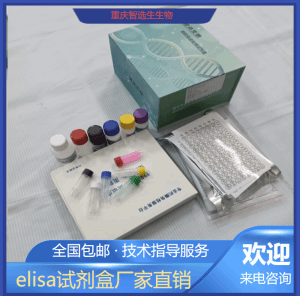人呼吸道合胞病毒F0蛋白IgG抗体RSV-F0 IgG elisa试剂盒 产品图片