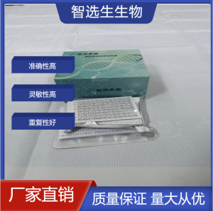 维生素B6测试盒 产品图片