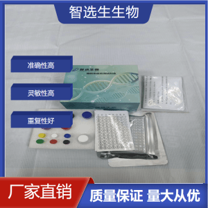人类T淋巴细胞白血病病毒igg抗体HTLV-igg-Ab elisa试剂盒 产品图片