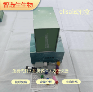 人促甲状腺激素受体TSHR  elisa试剂盒 产品图片