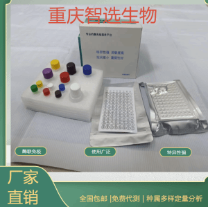 人血管内皮细胞生长因子121VEGF121 elisa试剂盒 产品图片