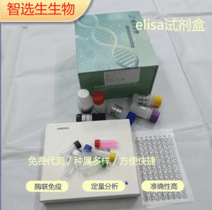 真菌基质金属蛋白酶3MMP-3elisa试剂盒 产品图片