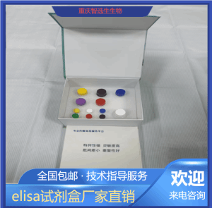 人多胺氧化酶PAOX elisa试剂盒 产品图片