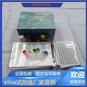 人乳腺丝抑蛋白Maspin；SERPINB5 elisa试剂盒 产品图片